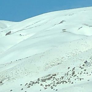 Meet your Posher, Johnny